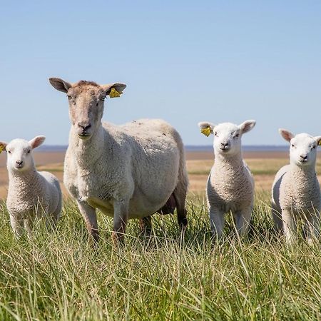 Ferienwohnung Rieke Norddeich  Buitenkant foto