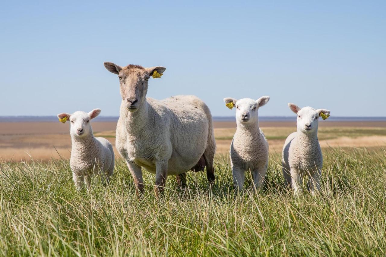 Ferienwohnung Rieke Norddeich  Buitenkant foto